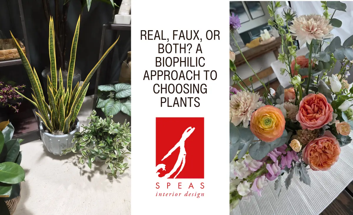 A layout image where real and silk plants sit side by side, indistinguishable